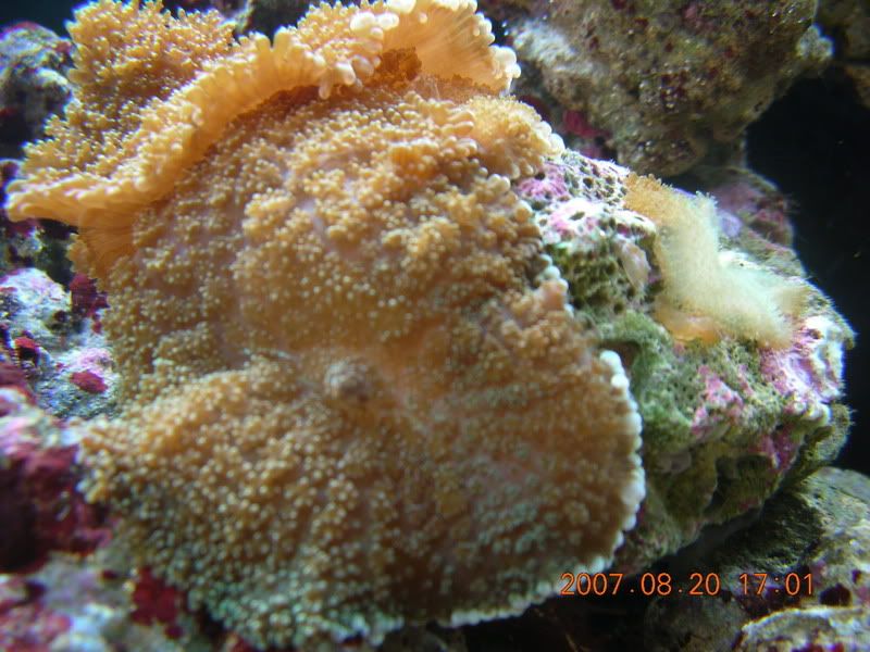 DSCN1887.jpg