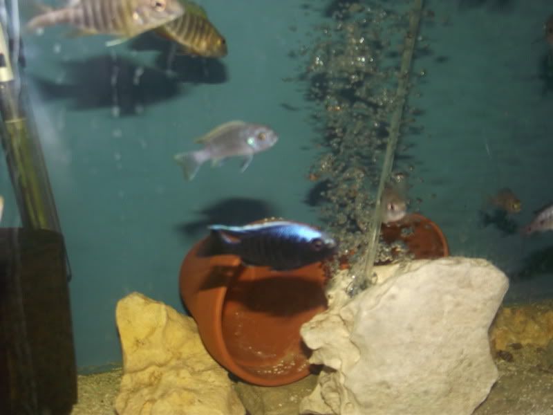 DSCF6741.jpg