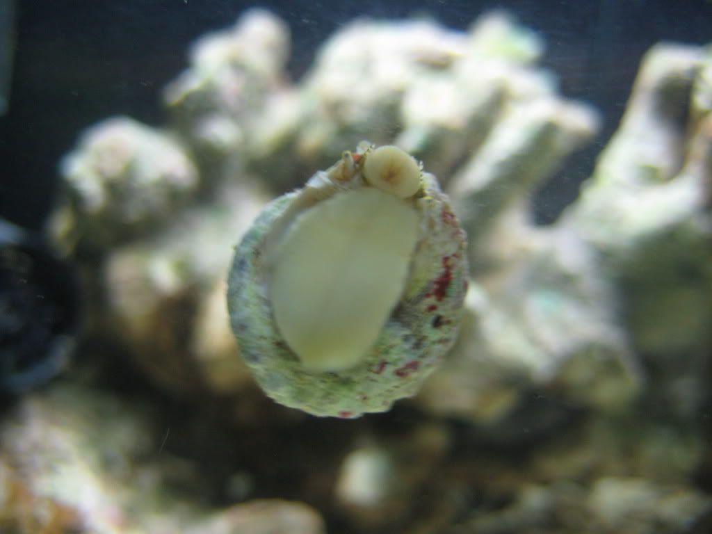IMG_0499.jpg