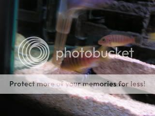 PICT6535.jpg