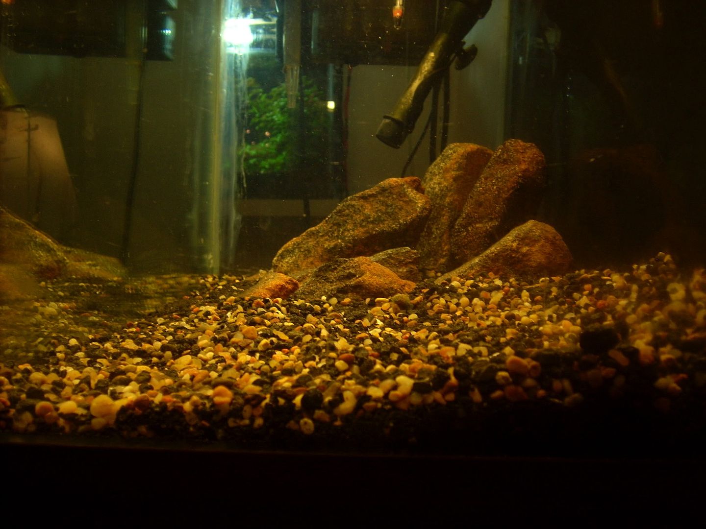 DSCN1852.jpg