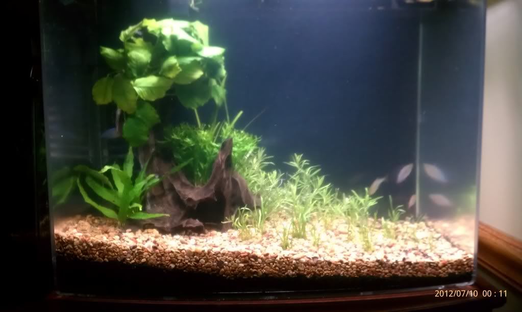 IMAG0526.jpg