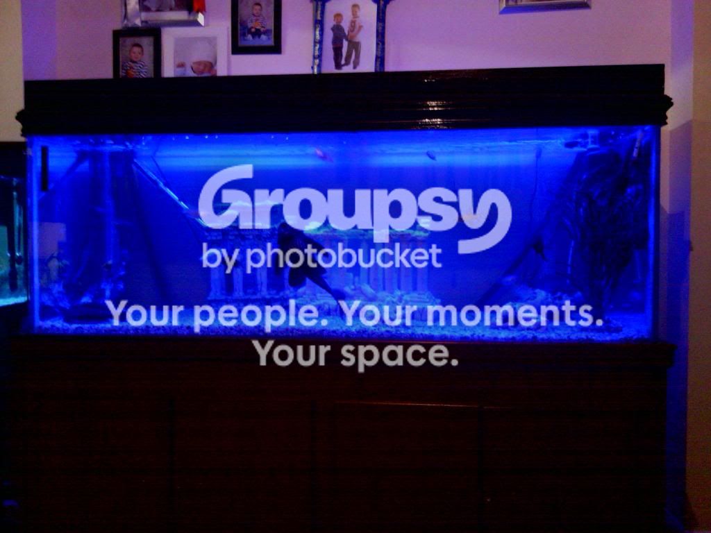 IMG_20121114_194035.jpg