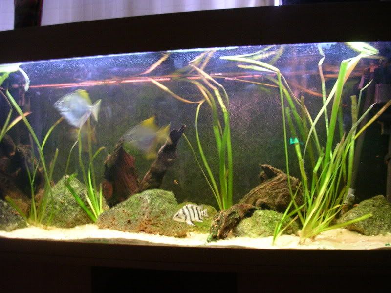DSCN3793.jpg