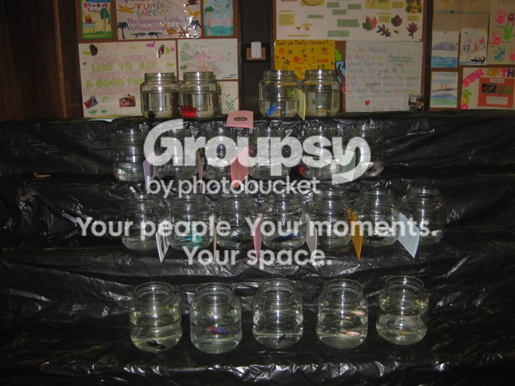 SpringFishExpo10061.jpg