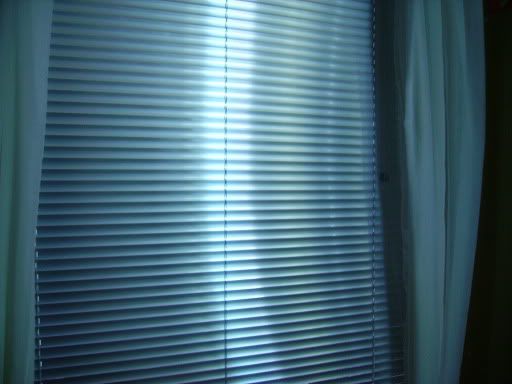 blincomp1.jpg
