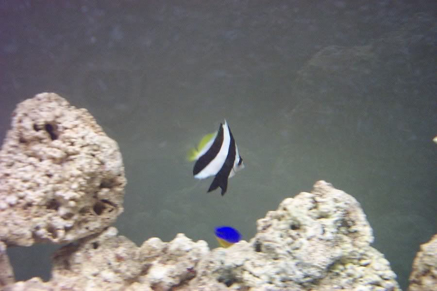 DCP_3471.jpg