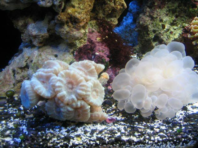 IMG_0101-1.jpg