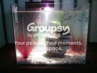 IMG042.jpg