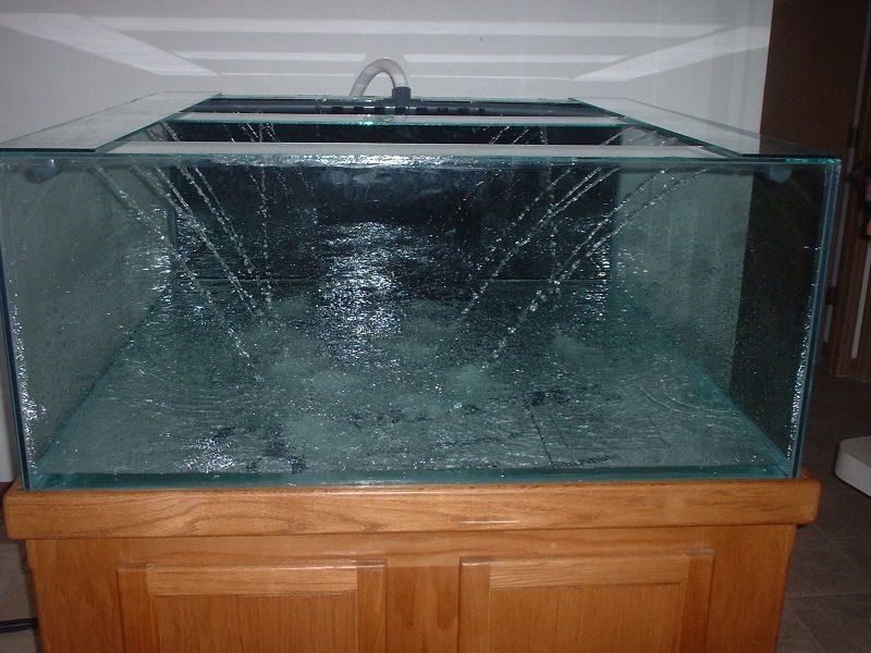 DSCF0003-5.jpg
