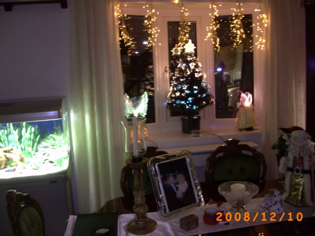 PICT0012.jpg