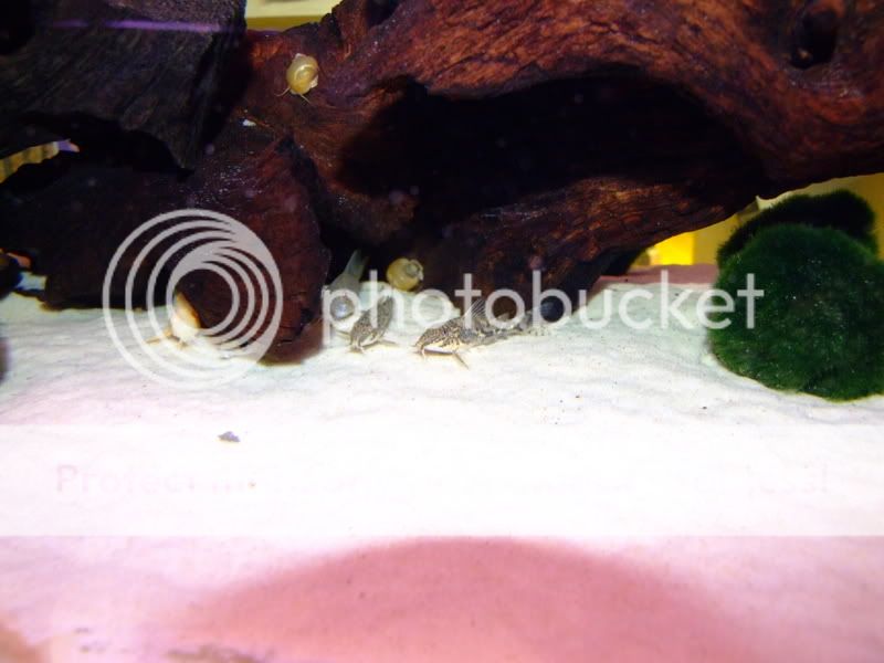 2006_02213ftank0121.jpg