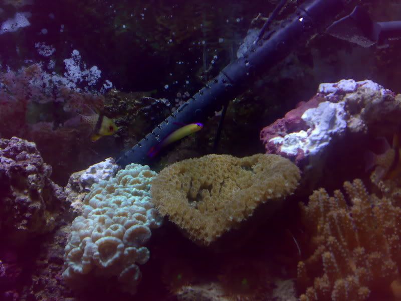 07012007083.jpg