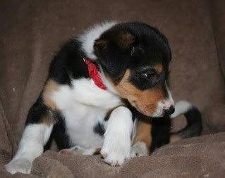 IMG_0041.jpg