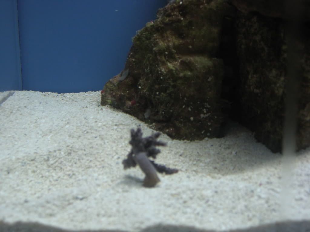 IMG_0567.jpg