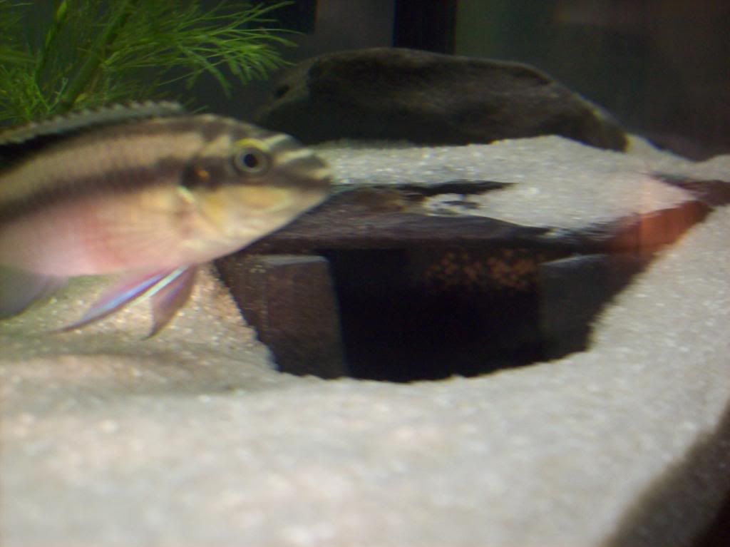 100_0566.jpg