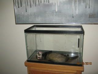fishtank004-1.jpg