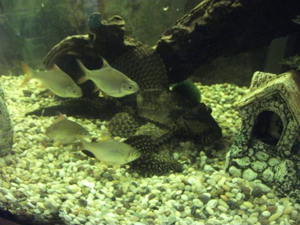 DSCF4805.jpg