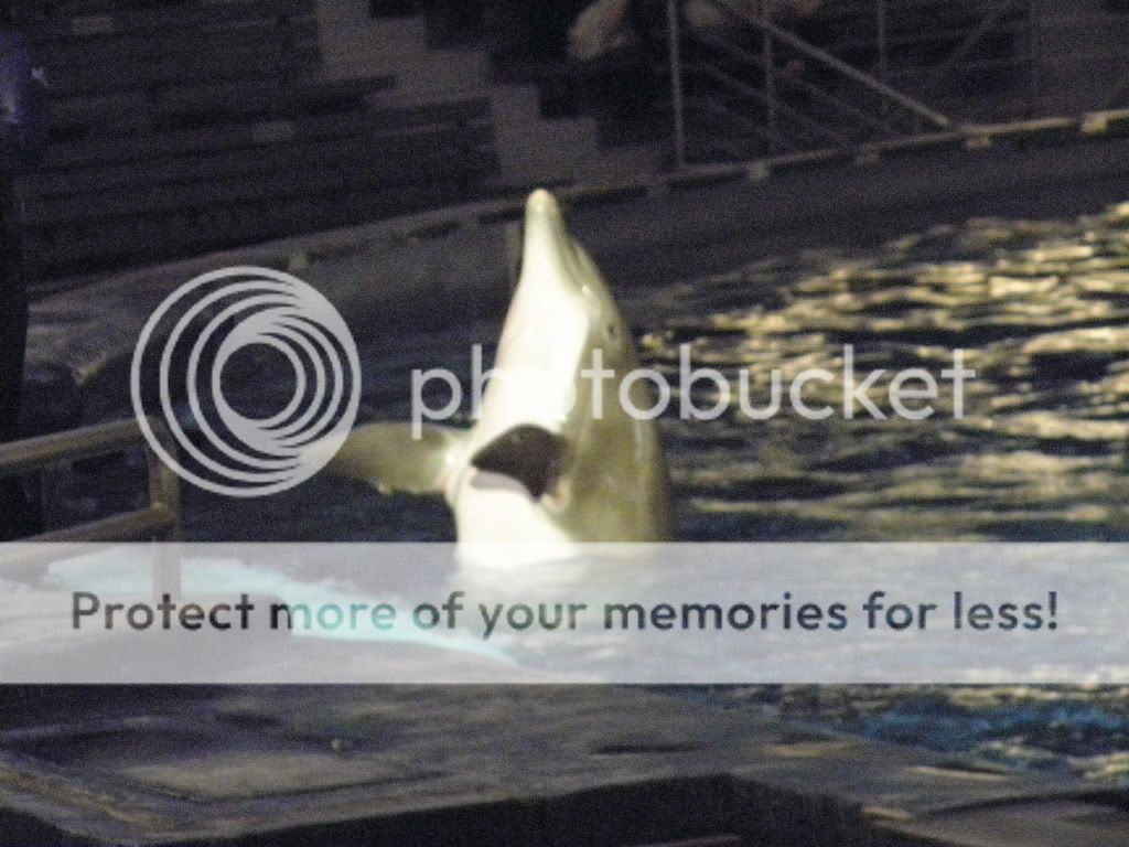 Aquarium25.jpg