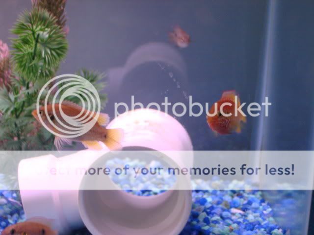 DSC01405.jpg
