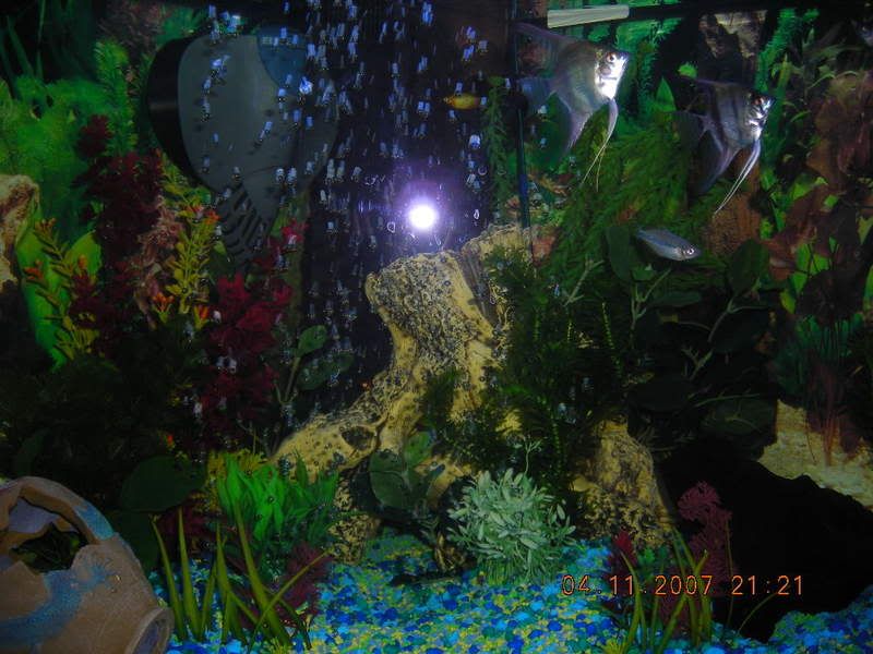 DSCN0281.jpg
