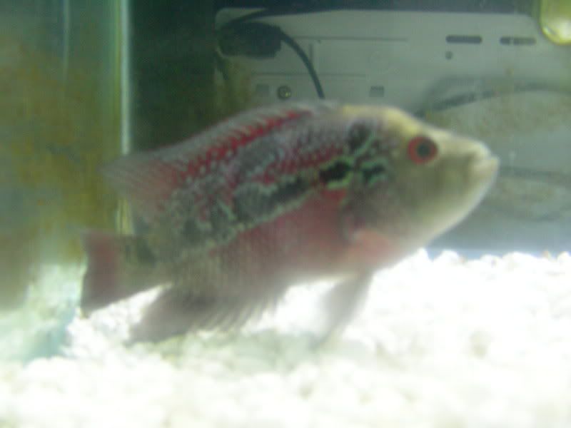 DSCN0605.jpg