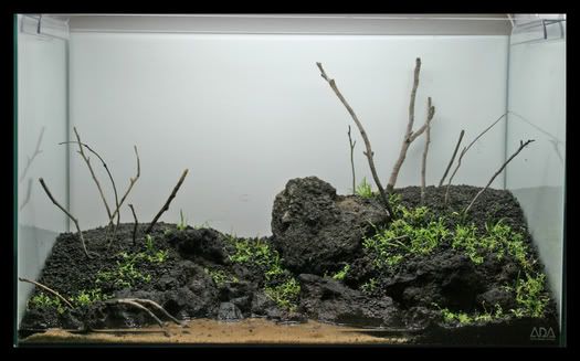 planting1_Fall2006.jpg