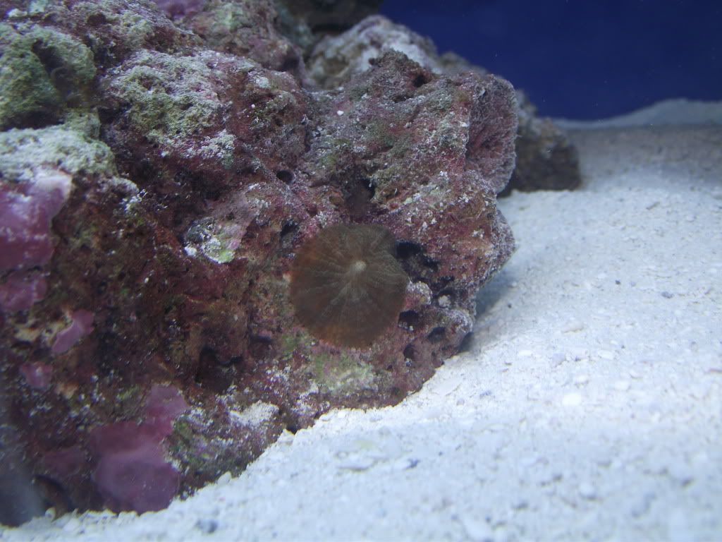 DSCF1440.jpg