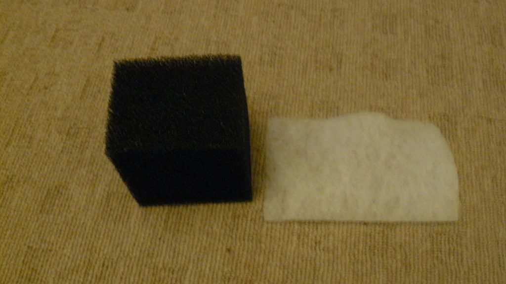 P1000851.jpg