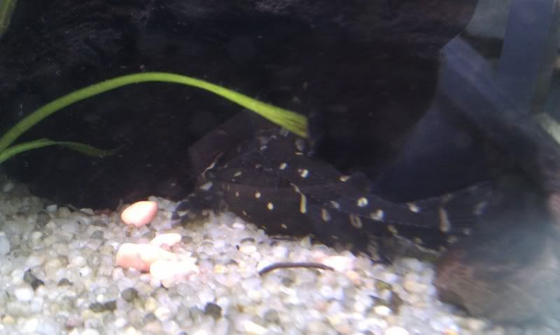 IMAG0709.jpg