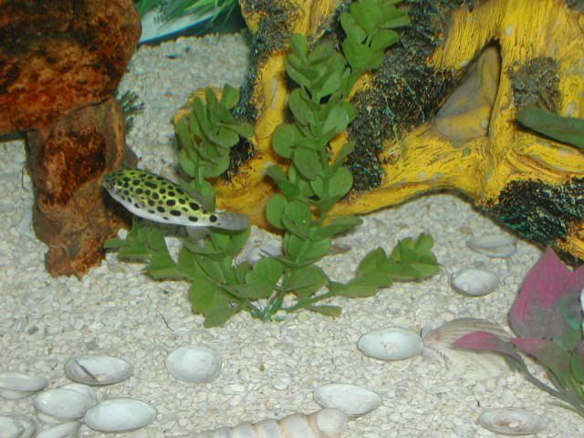 DSCN2496.jpg