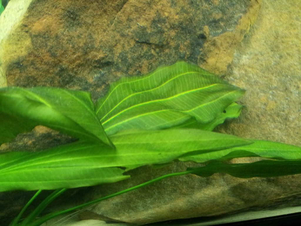 20120924_000513_zps94d63b3e.jpg