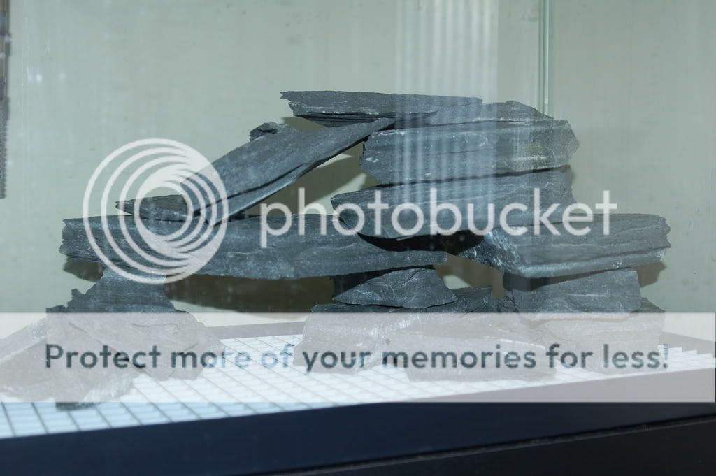 DSC_1860.jpg