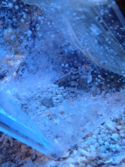 photo2-18.jpg