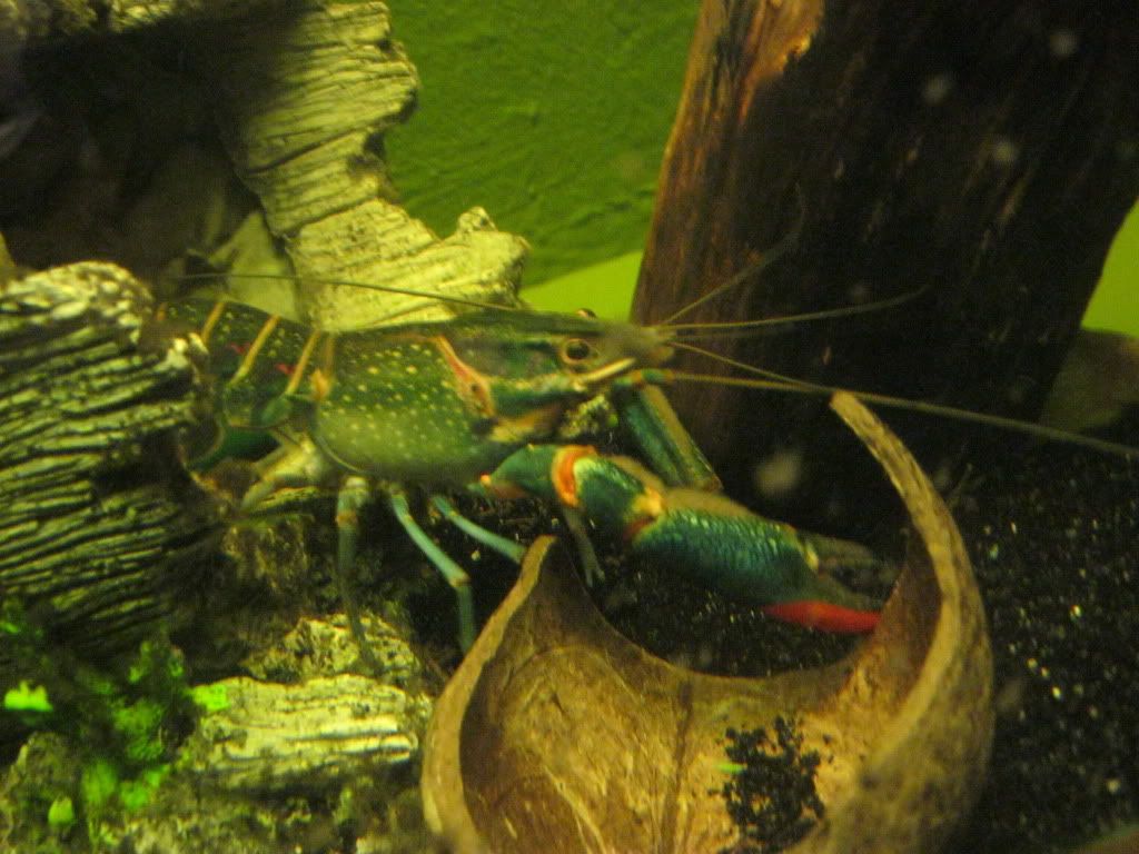 IMG_0362.jpg
