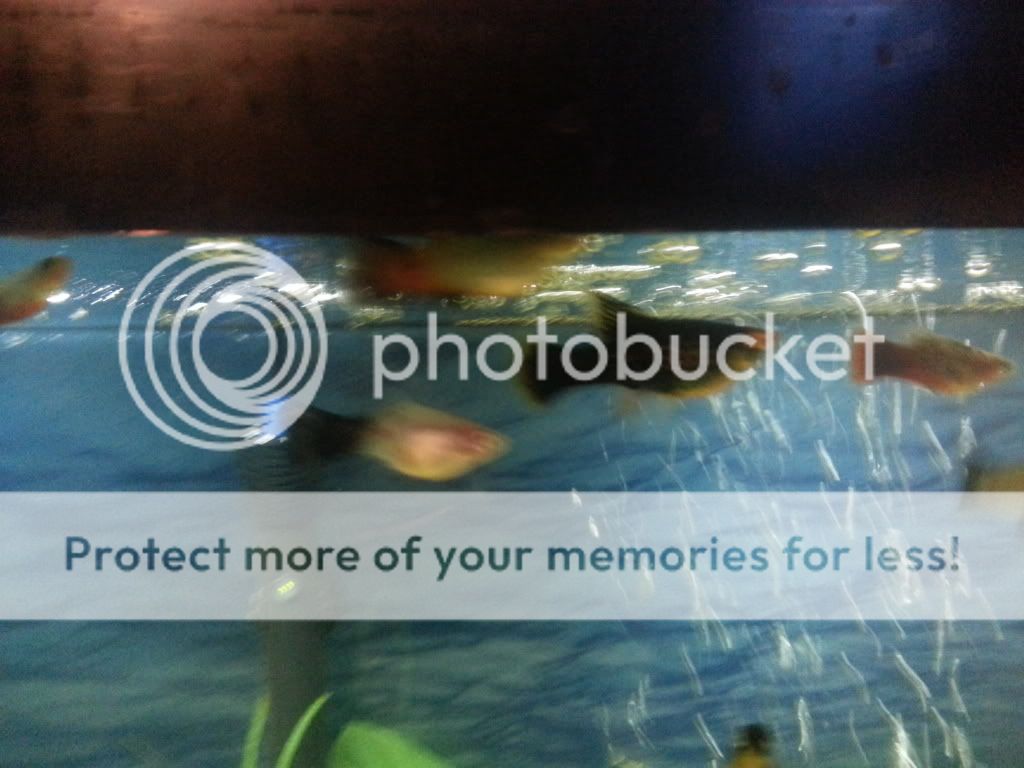 20121028_202550_zps1f8e2713.jpg
