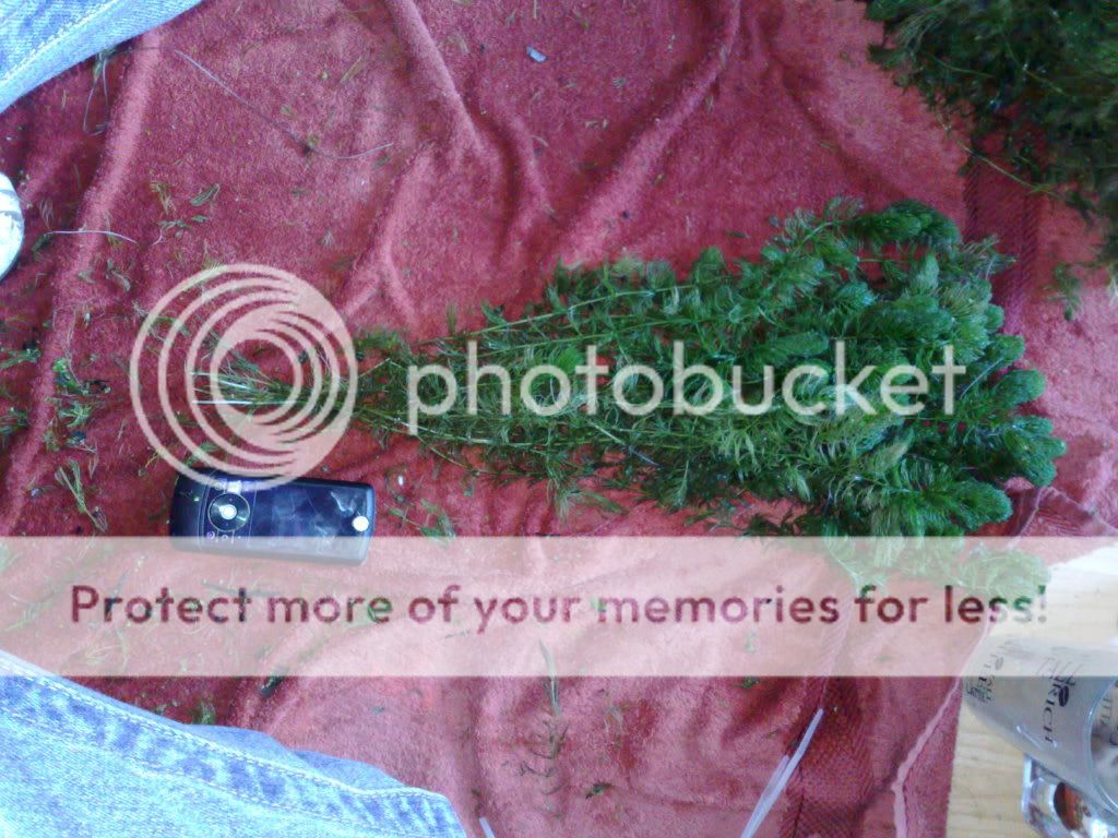 290820091204.jpg