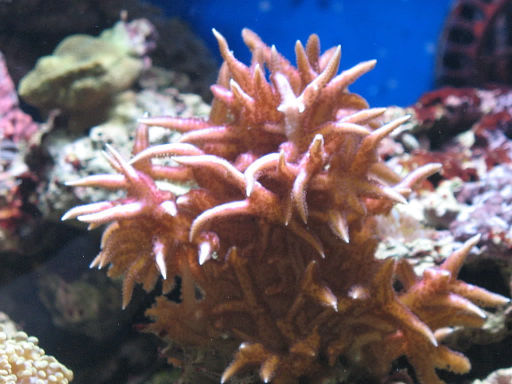 IMG_1974.jpg