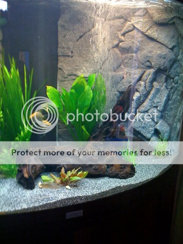 substrate2.jpg