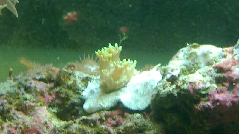 20101206_004.jpg