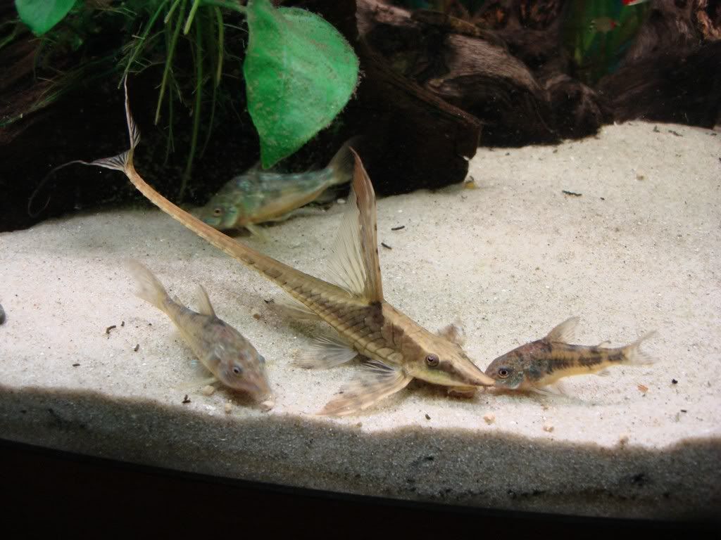 DSC02091.jpg