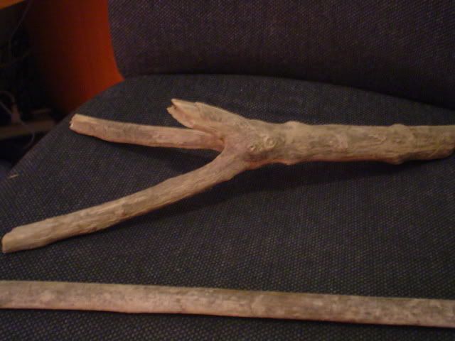 Picture084.jpg