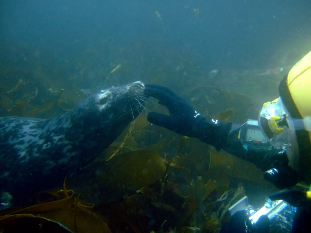 DSCF6109.jpg