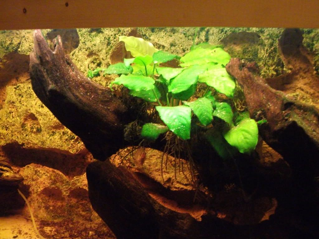 DSCF0444.jpg