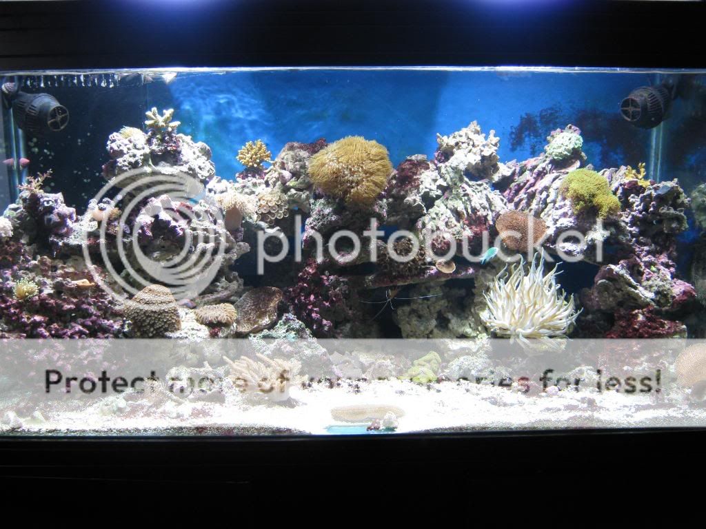 IMG_0167.jpg