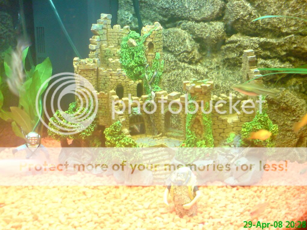 DSC00030.jpg