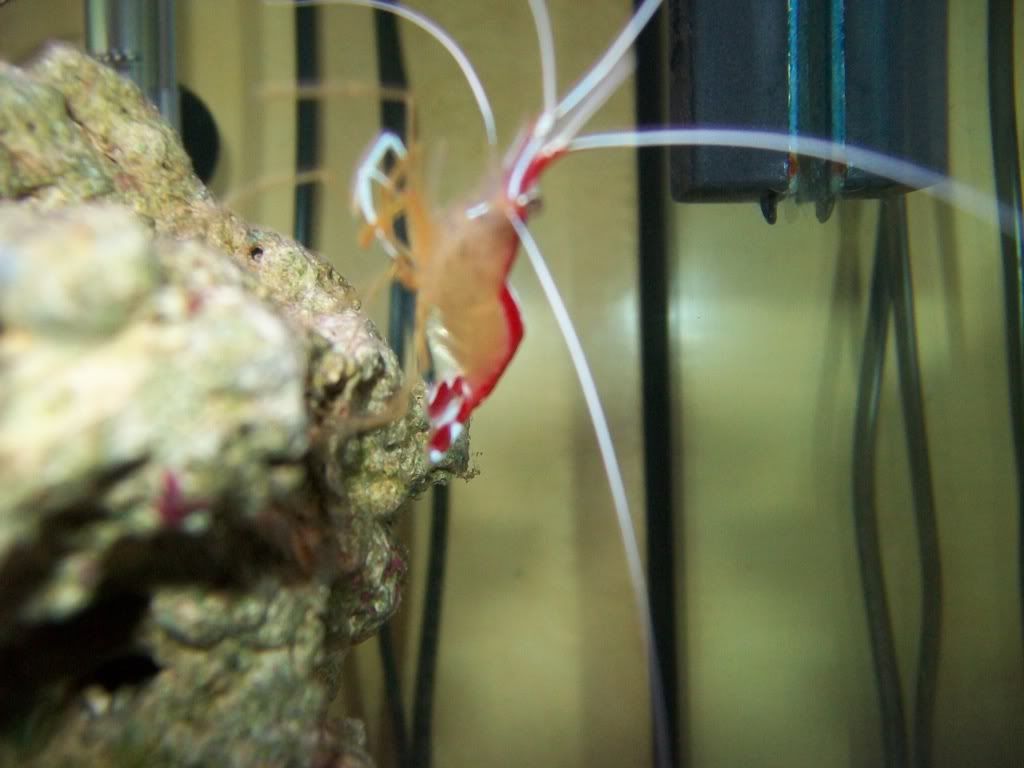 100_0749.jpg