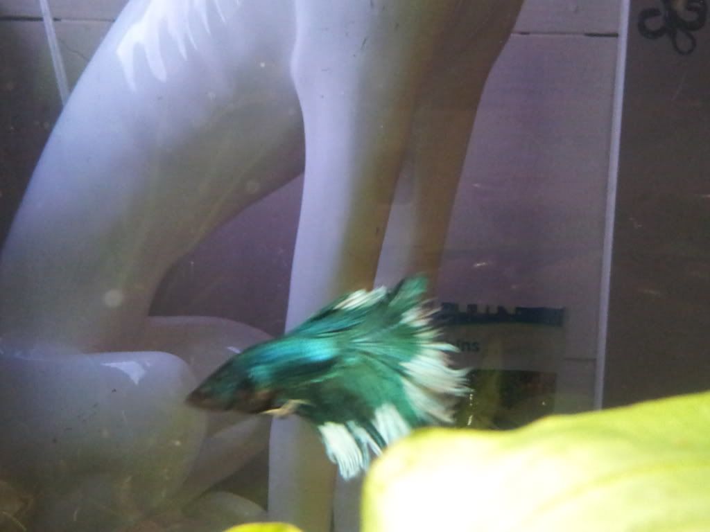 20120801_203117.jpg
