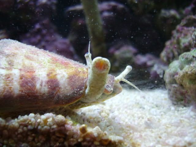 FTS02015.jpg