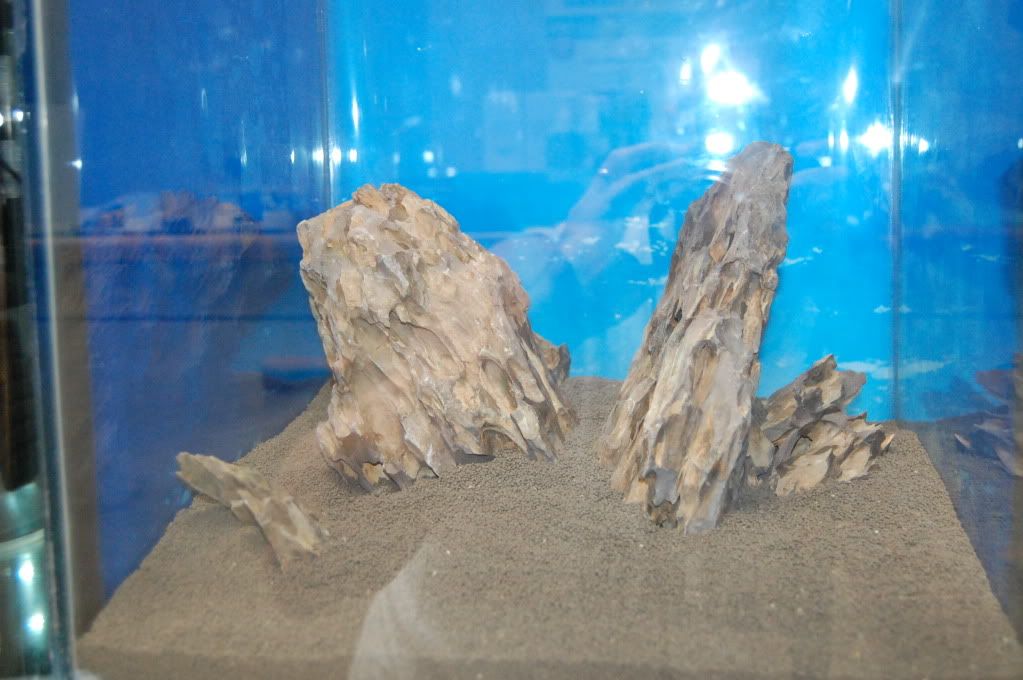 DSC_0198.jpg